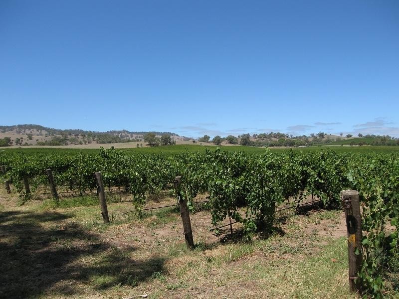 6 Lyndoch Valley Road, Williamstown SA 5351