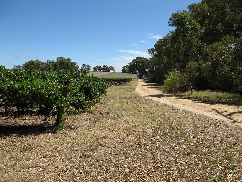 Lot 6 Lyndoch Valley Road, Lyndoch SA 5351