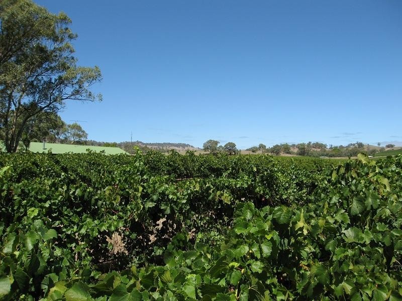 Lot 6 Lyndoch Valley Road, Lyndoch SA 5351