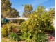 51 Eva Street, Williamstown SA 5351