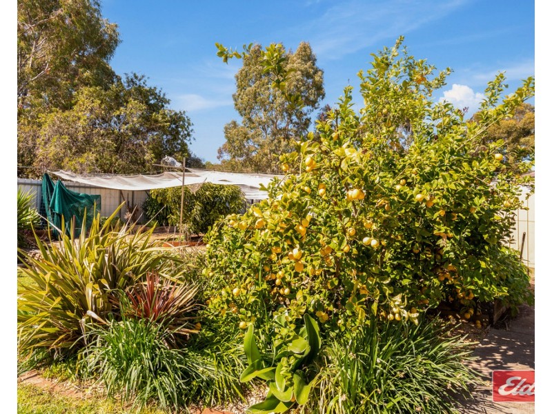 51 Eva Street, Williamstown SA 5351