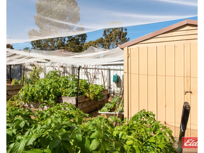 51 Eva Street, Williamstown SA 5351