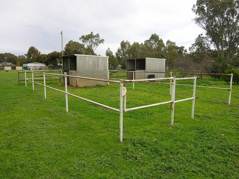 8 Erina Court, Lewiston SA 5501