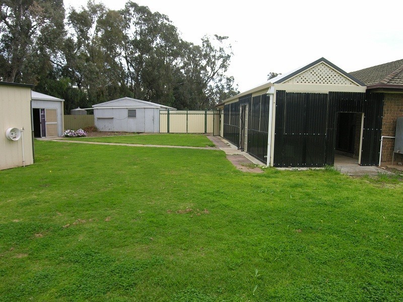 8 Erina Court, Lewiston SA 5501