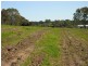 Lot 104 Wild Street, Williamstown SA 5351