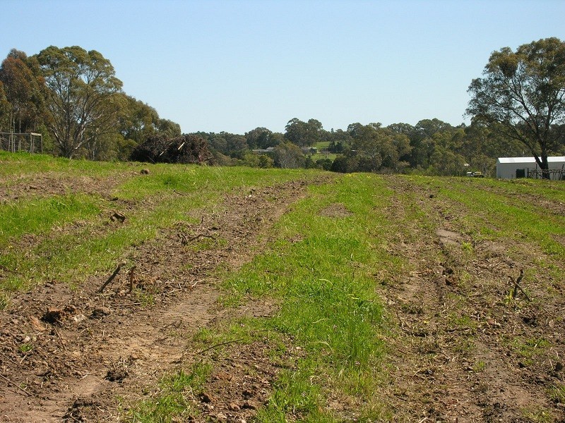 Lot 104 Wild Street, Williamstown SA 5351