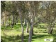 Lot 104 Wild Street, Williamstown SA 5351