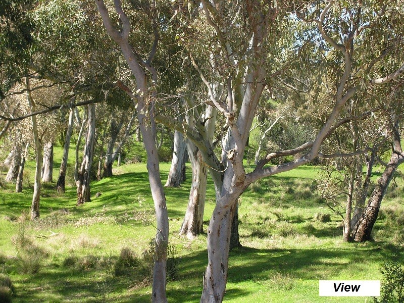 Lot 104 Wild Street, Williamstown SA 5351