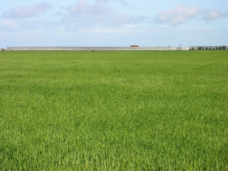 Section 482 Germantown Road, Two Wells SA 5501