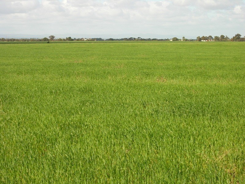 Section 482 Germantown Road, Two Wells SA 5501