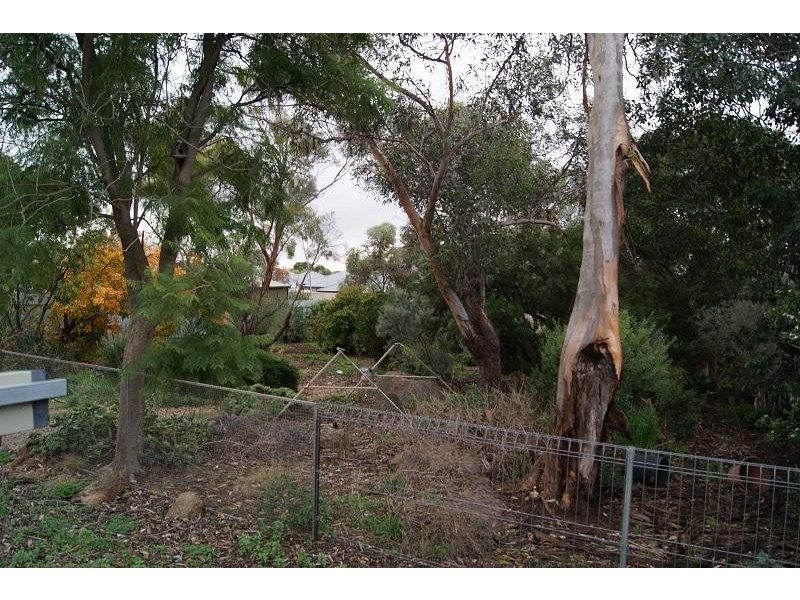 48 Lyndoch Road, Gawler East SA 5118