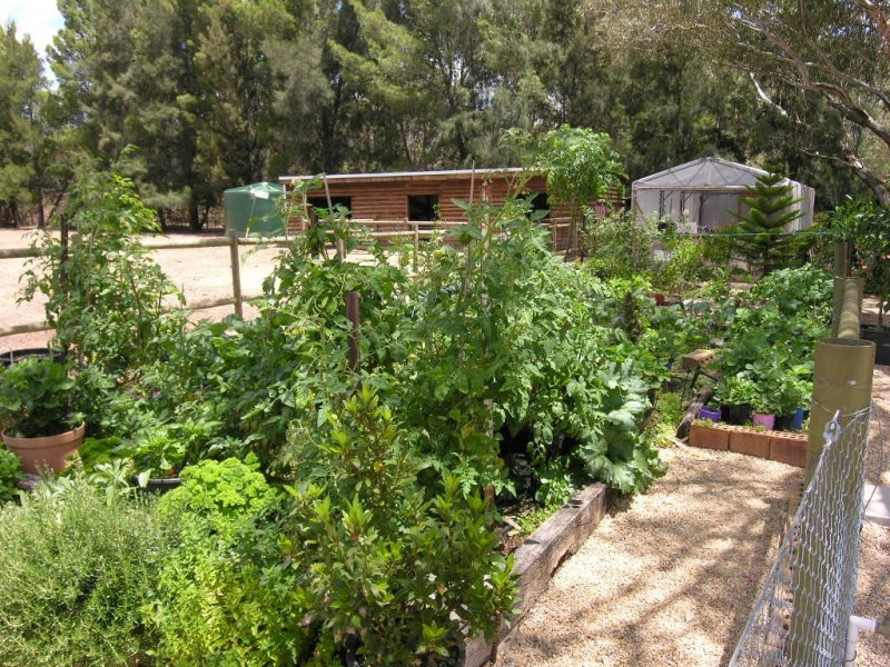 Lot 21 Railway Terrace, Kalbeeba SA 5118