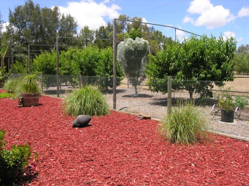 Lot 21 Railway Terrace, Kalbeeba SA 5118