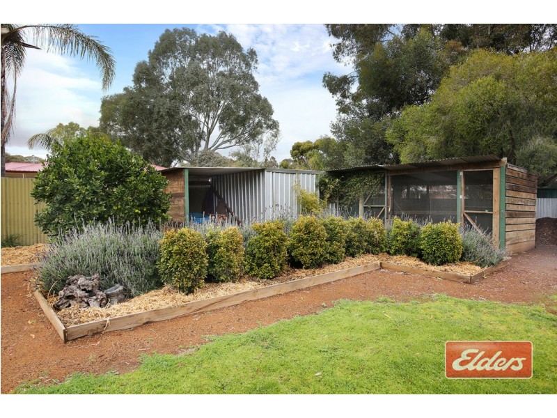 13 Eucalypt Drive, Gawler East SA 5118