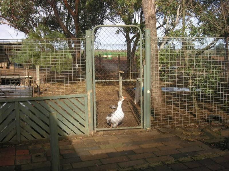Lot 194 Fyfe Road, Hamley Bridge SA 5401