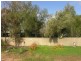 Lot 194 Fyfe Road, Hamley Bridge SA 5401