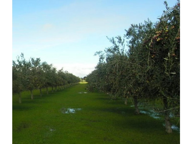 200 Hayman Road, Lewiston SA 5501