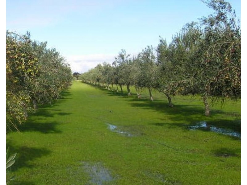 200 Hayman Road, Lewiston SA 5501