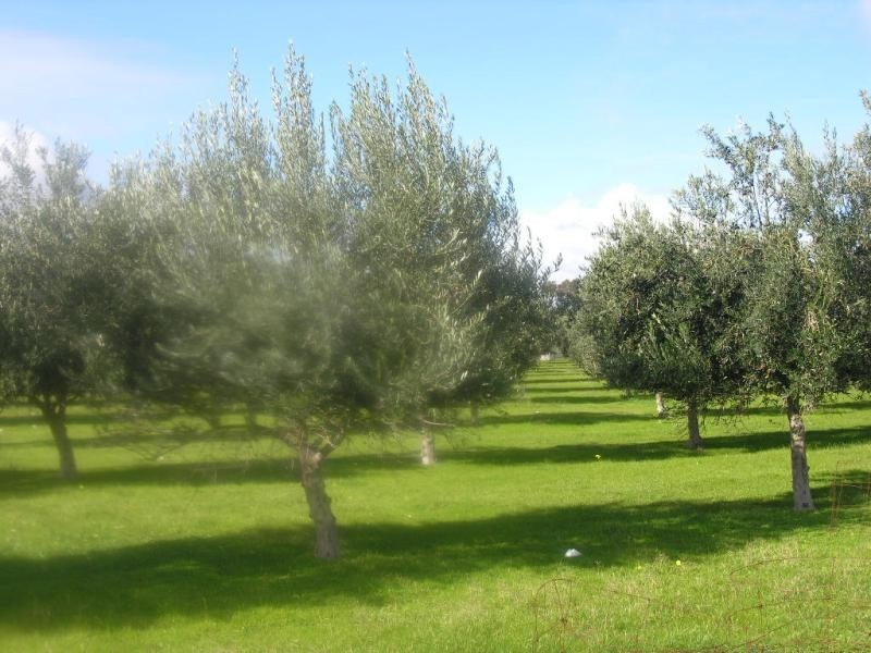 200 Hayman Road, Lewiston SA 5501