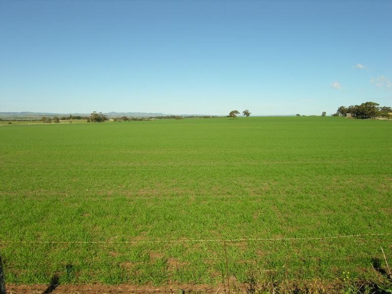 48A Schuster Street, Freeling SA 5372