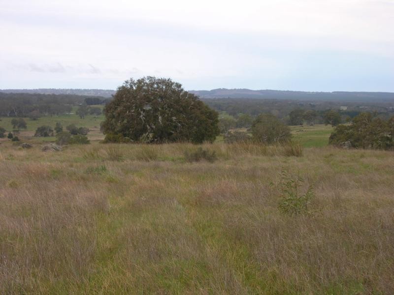 Lot 201 Corryton Park Road, Pewsey Vale SA 5351