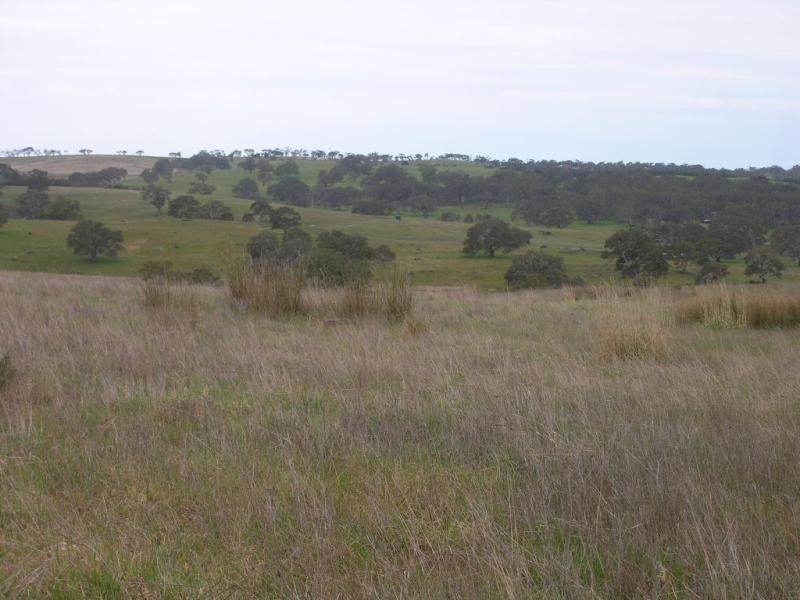 Lot 201 Corryton Park Road, Pewsey Vale SA 5351