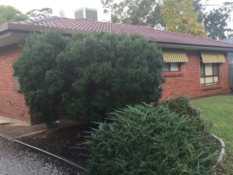 21 Urlwin Avenue, Evanston Park SA 5116