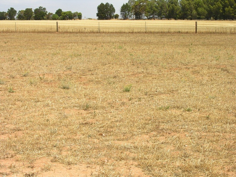 Lot 10 Henry Turton Circuit, Wasleys SA 5400