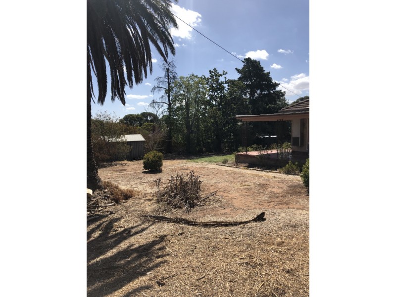 12 Turner Street, Gawler East SA 5118