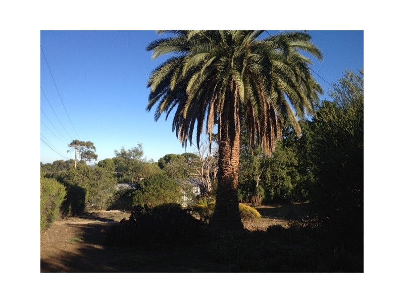 12 Turner Street, Gawler East SA 5118