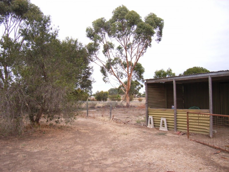 16 Dawkins Road, Two Wells SA 5501