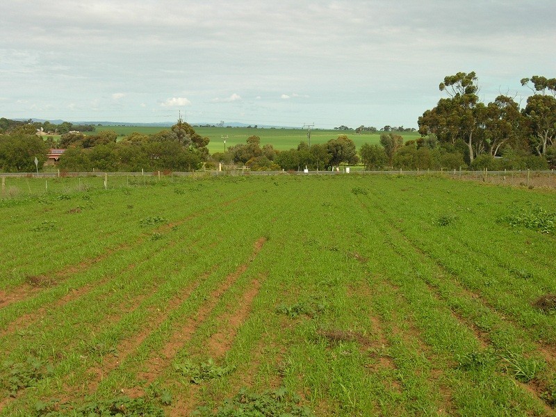 Lot 16 Templers Road, Templers SA 5371