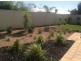 Lot 54 Roche Street, Freeling SA 5372