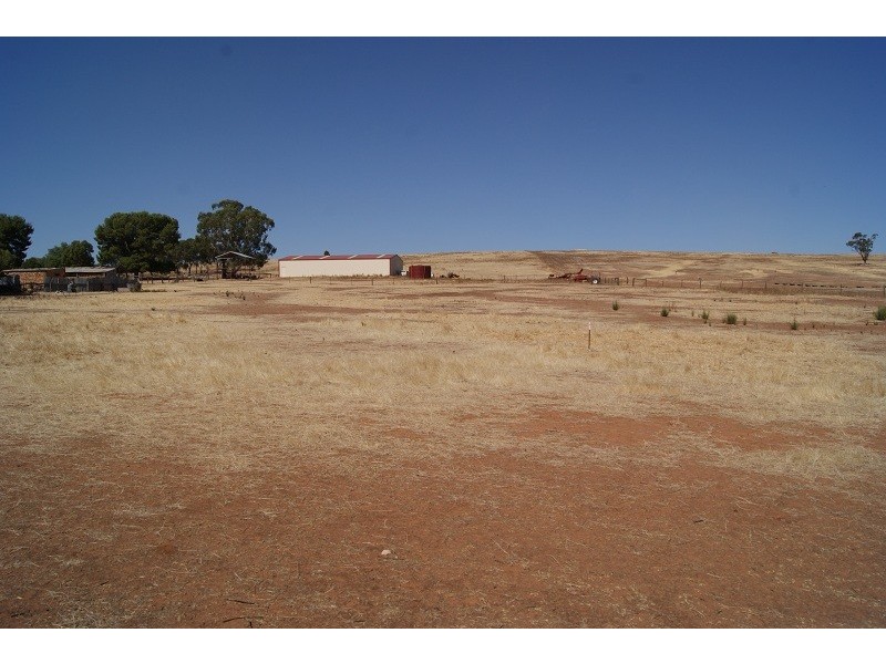 Lot 51 and 52 Rosedale Road, Rosedale SA 5350
