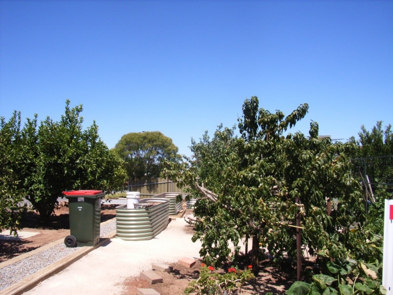 11 Whinnen Street, Evanston Park SA 5116