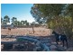 Lot 10 Bray Court, Gawler Belt SA 5118