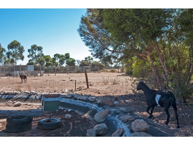 Lot 10 Bray Court, Gawler Belt SA 5118