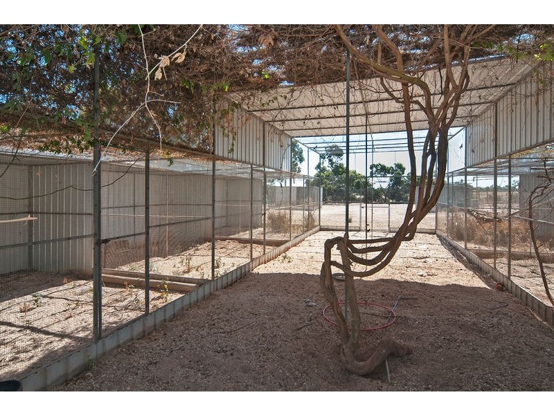 Lot 10 Bray Court, Gawler Belt SA 5118