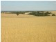 Pieces 202 and 203 Kalperri Road, Sandy Creek SA 5350