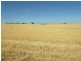 Pieces 202 and 203 Kalperri Road, Sandy Creek SA 5350