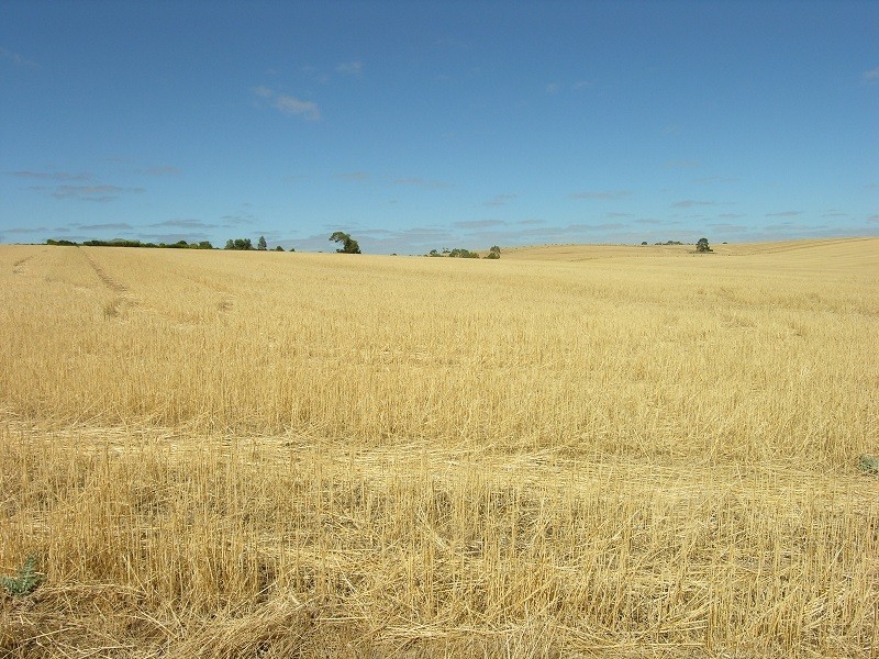 Pieces 202 and 203 Kalperri Road, Sandy Creek SA 5350