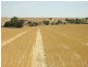 Pieces 202 and 203 Kalperri Road, Sandy Creek SA 5350