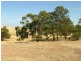 Pieces 202 and 203 Kalperri Road, Sandy Creek SA 5350