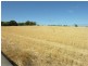 Pieces 202 and 203 Kalperri Road, Sandy Creek SA 5350