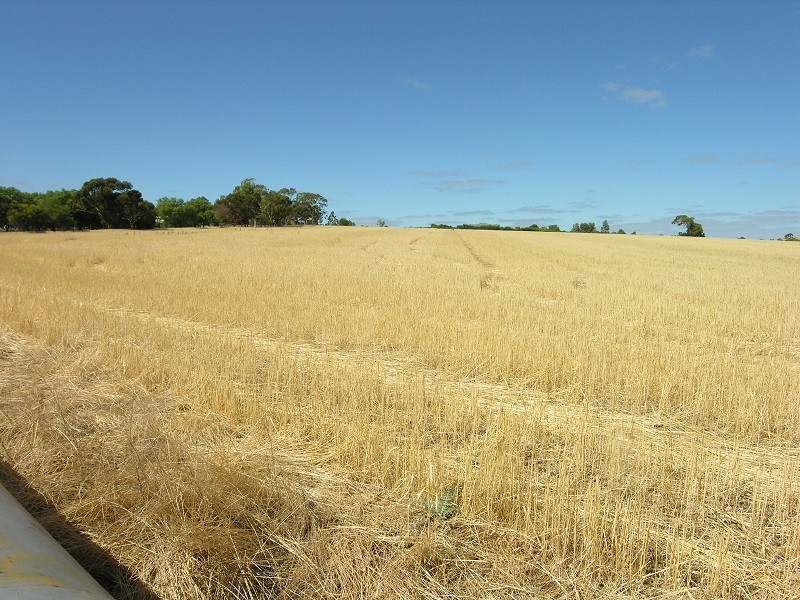 Pieces 202 and 203 Kalperri Road, Sandy Creek SA 5350