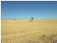 Pieces 202 and 203 Kalperri Road, Sandy Creek SA 5350