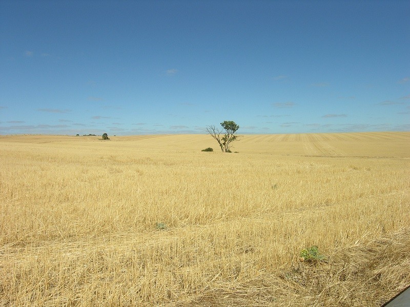 Pieces 202 and 203 Kalperri Road, Sandy Creek SA 5350