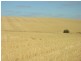 Pieces 202 and 203 Kalperri Road, Sandy Creek SA 5350