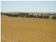 Pieces 202 and 203 Kalperri Road, Sandy Creek SA 5350