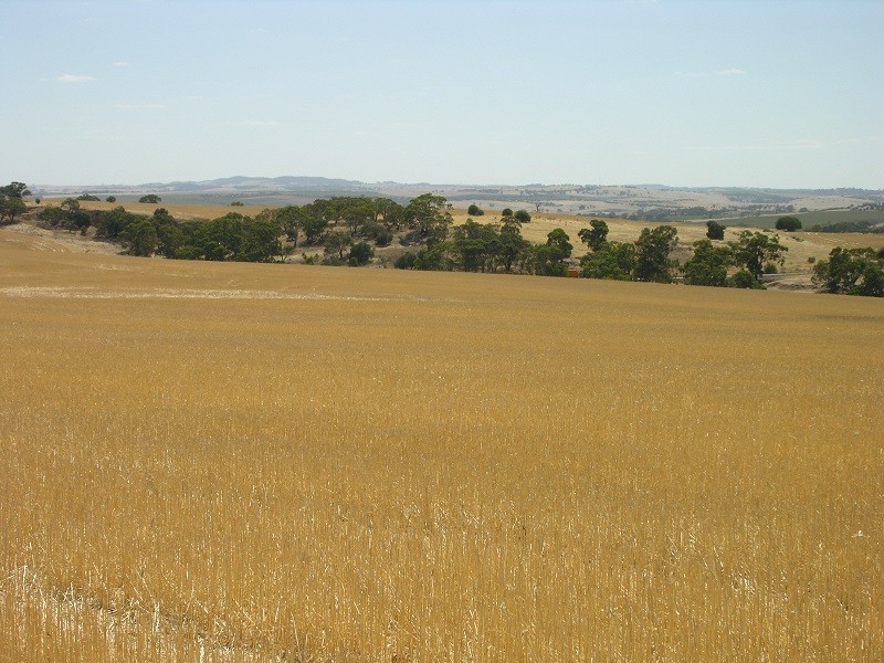 Pieces 202 and 203 Kalperri Road, Sandy Creek SA 5350